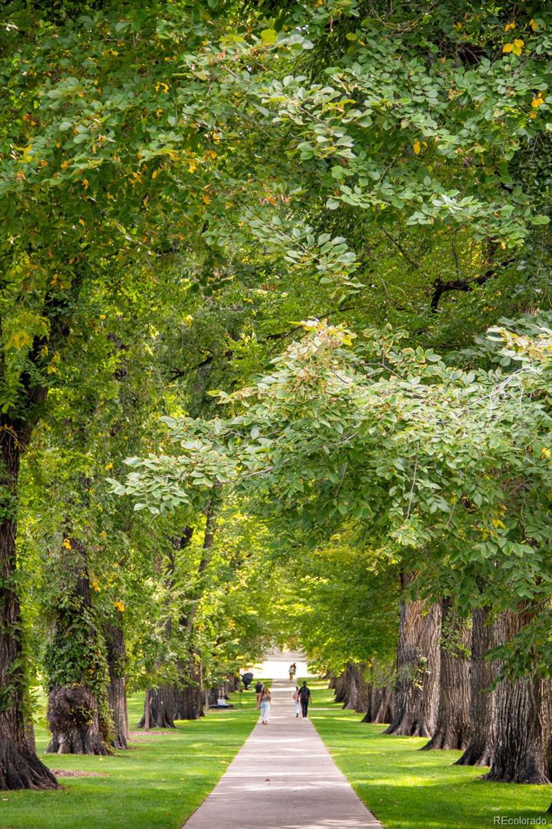 MLS Image #44 for 121  garfield street,fort collins, Colorado