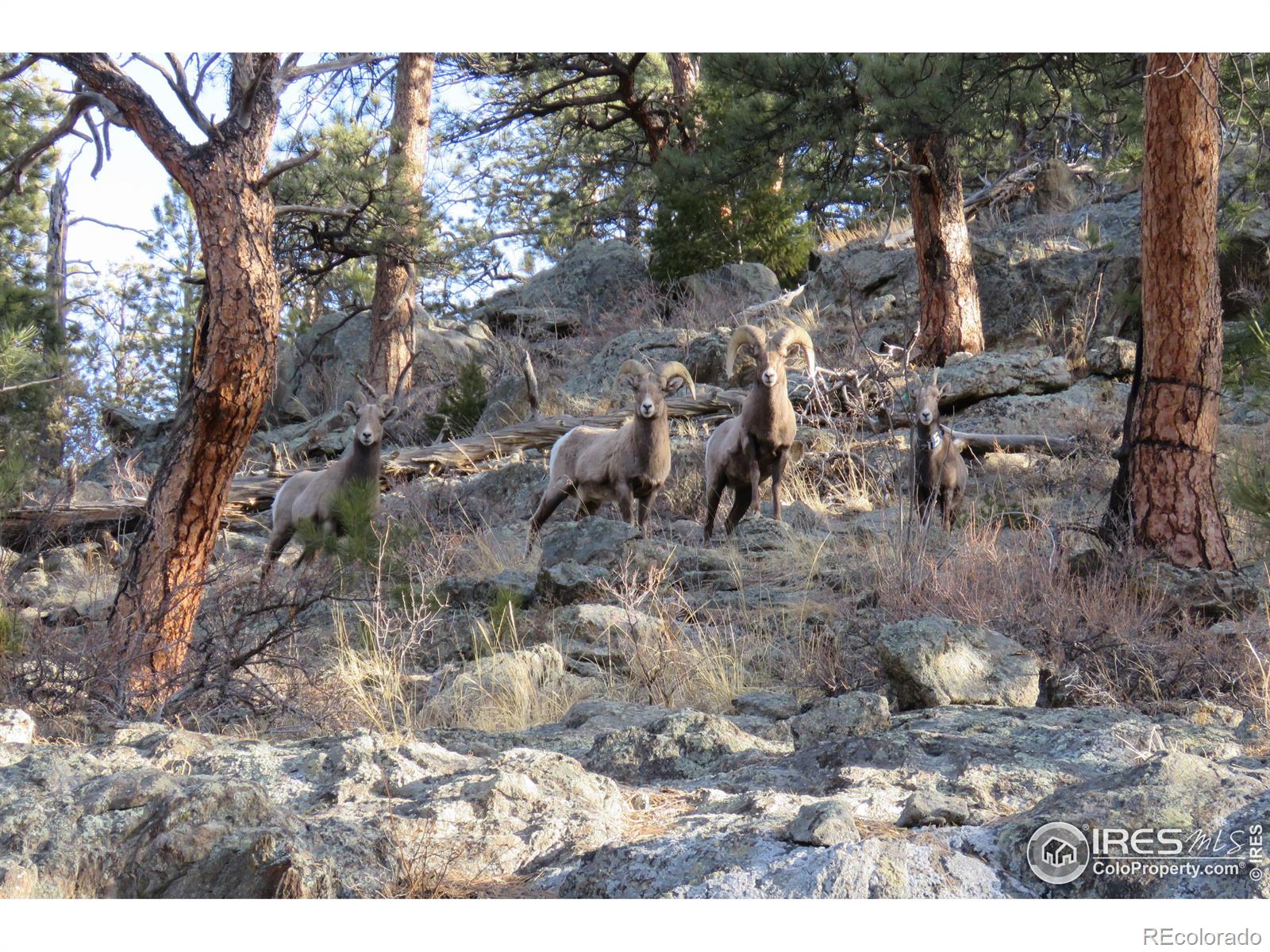 MLS Image #32 for 2117 w us highway 34 ,drake, Colorado