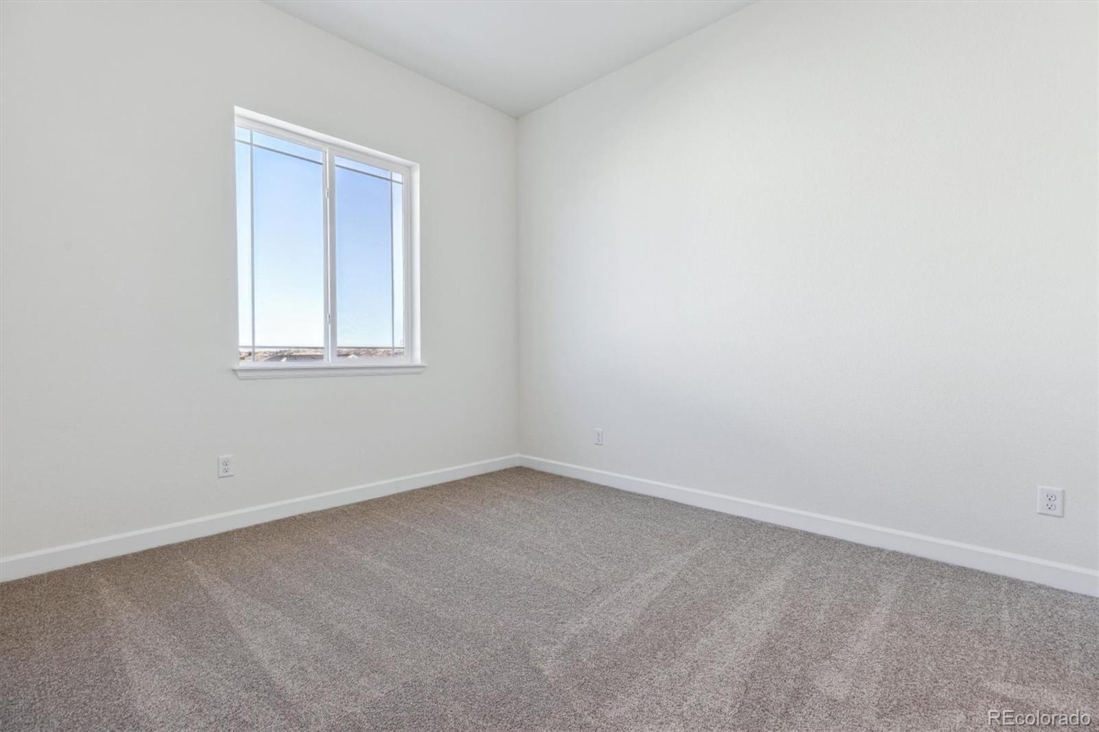 MLS Image #13 for 5025  hickory oaks street,castle rock, Colorado