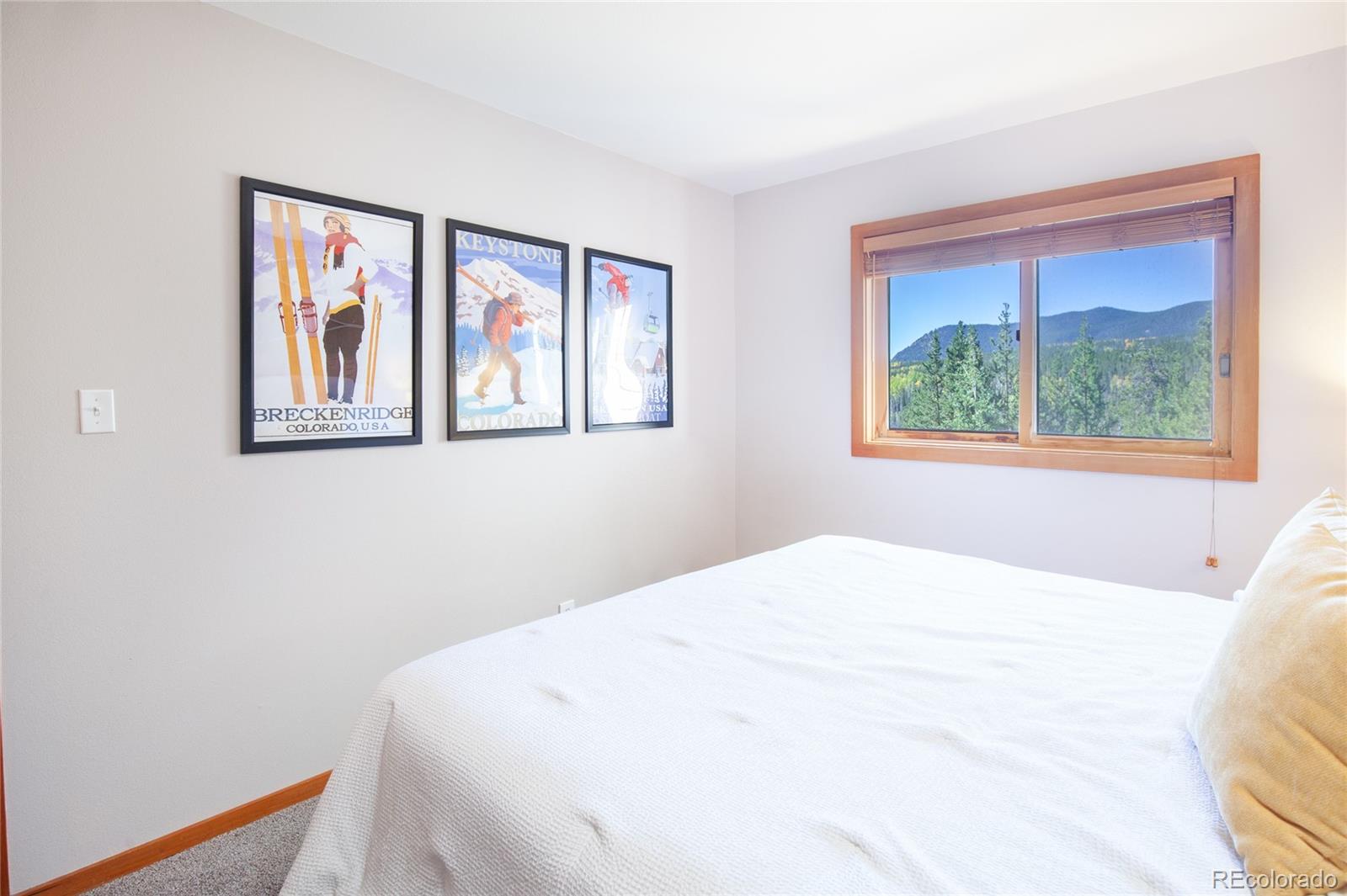 MLS Image #14 for 9490  ryan gulch road,silverthorne, Colorado