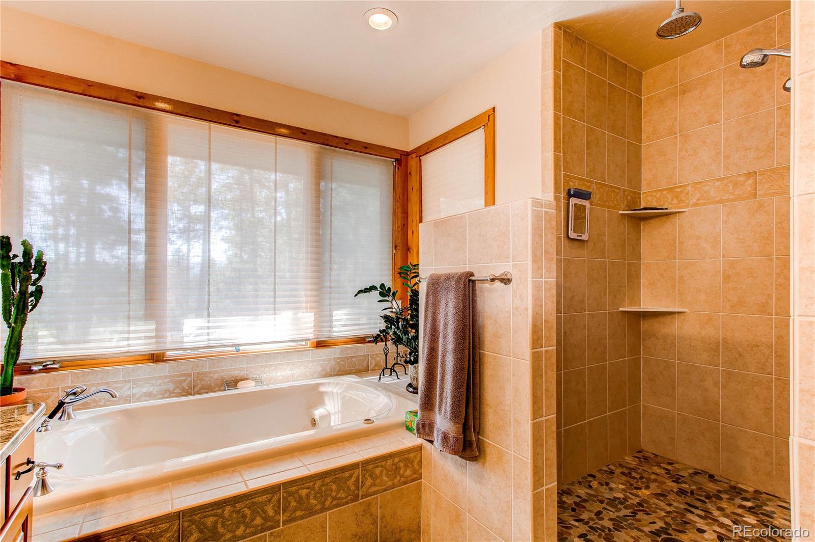 MLS Image #24 for 7773  corona court,larkspur, Colorado