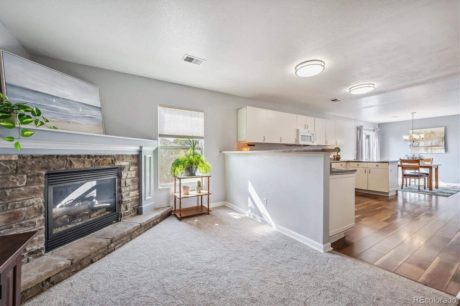 MLS Image #10 for 226  zephyr court,lochbuie, Colorado