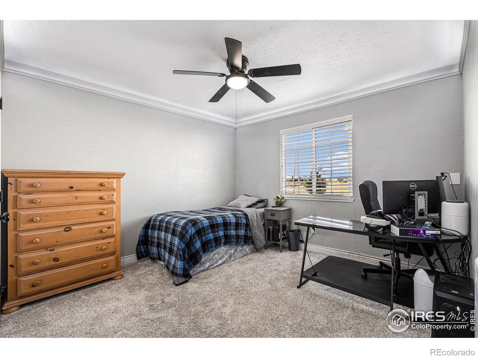 MLS Image #24 for 6745  rio road,peyton, Colorado