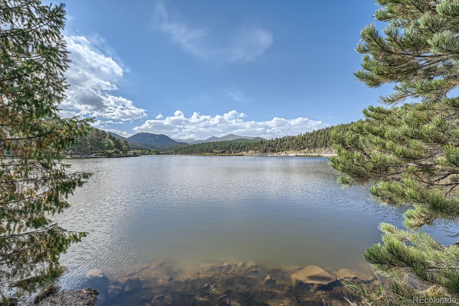 MLS Image #38 for 4670  forest hill road,evergreen, Colorado