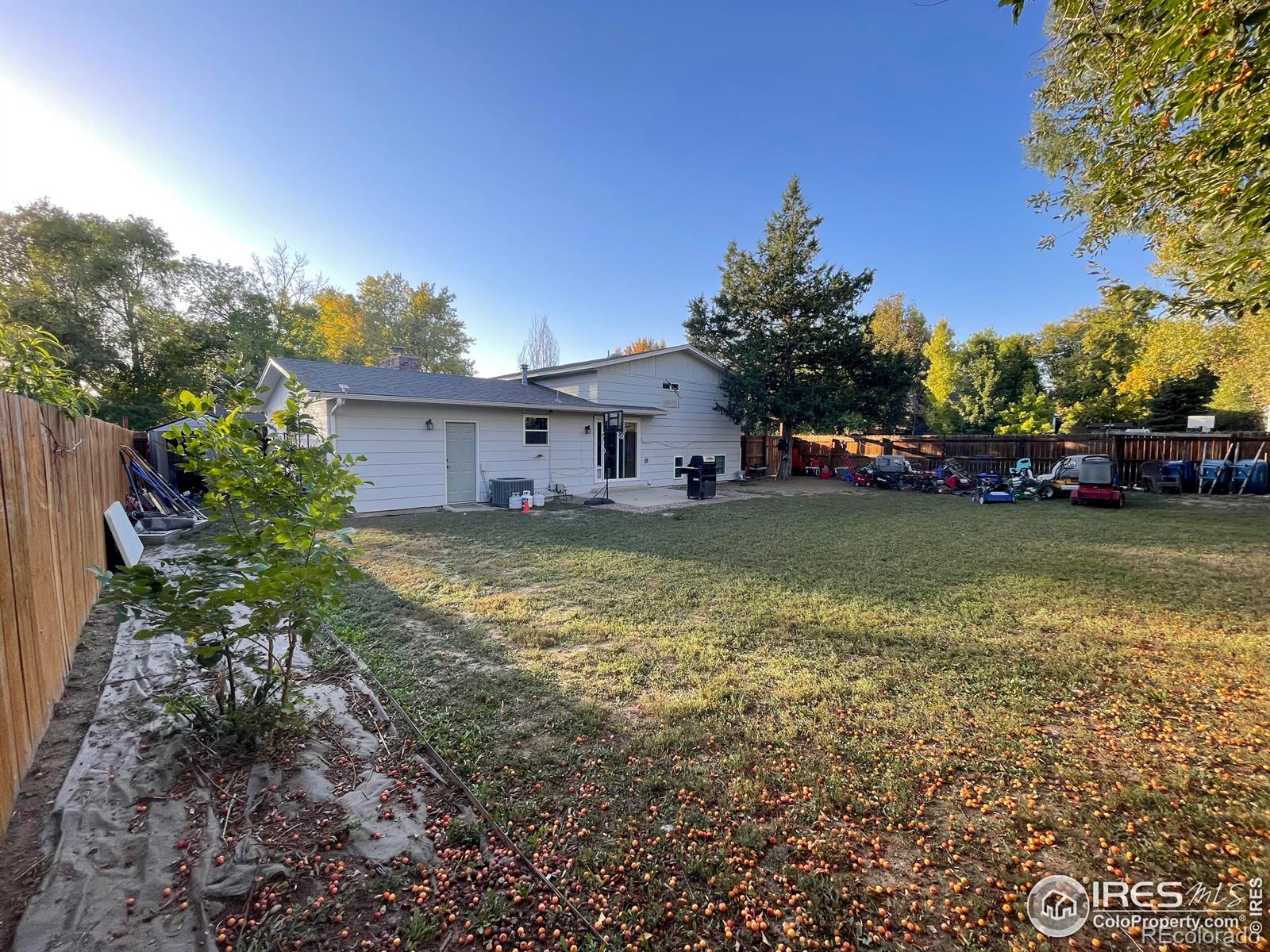 MLS Image #34 for 669  buchanan lane,longmont, Colorado