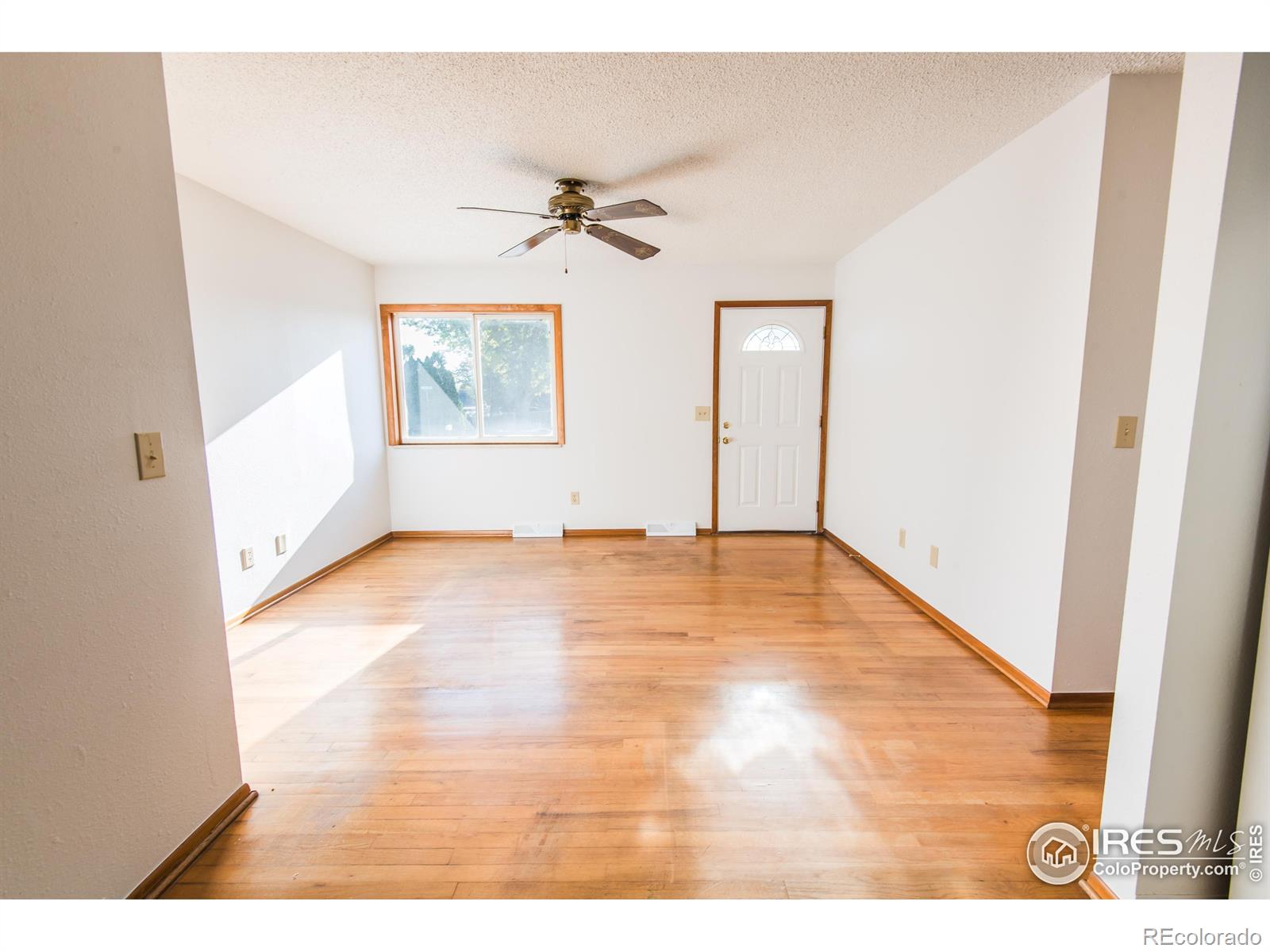 MLS Image #5 for 901  janice court,loveland, Colorado