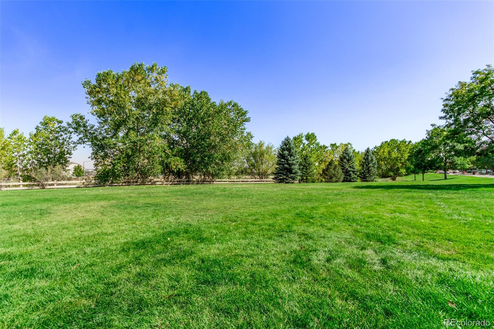 MLS Image #40 for 460  woodson drive,erie, Colorado