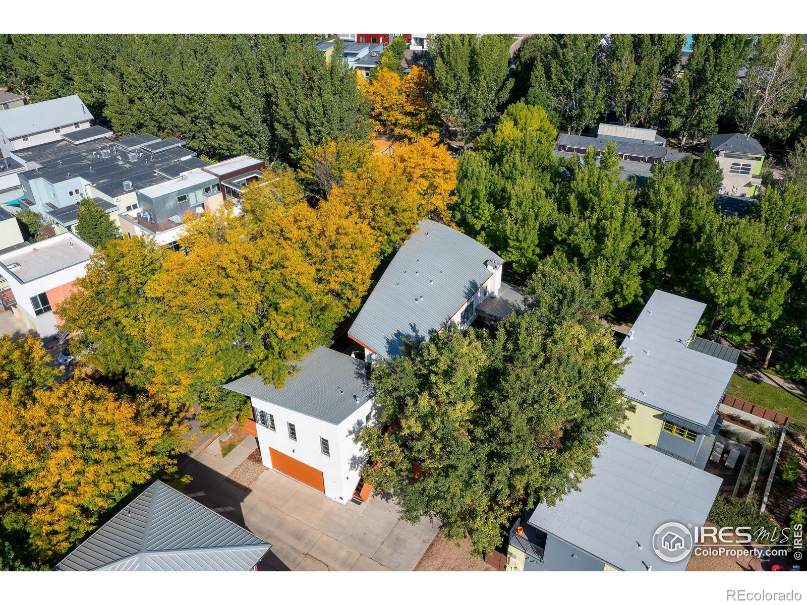 MLS Image #38 for 1001  neon forest circle,longmont, Colorado