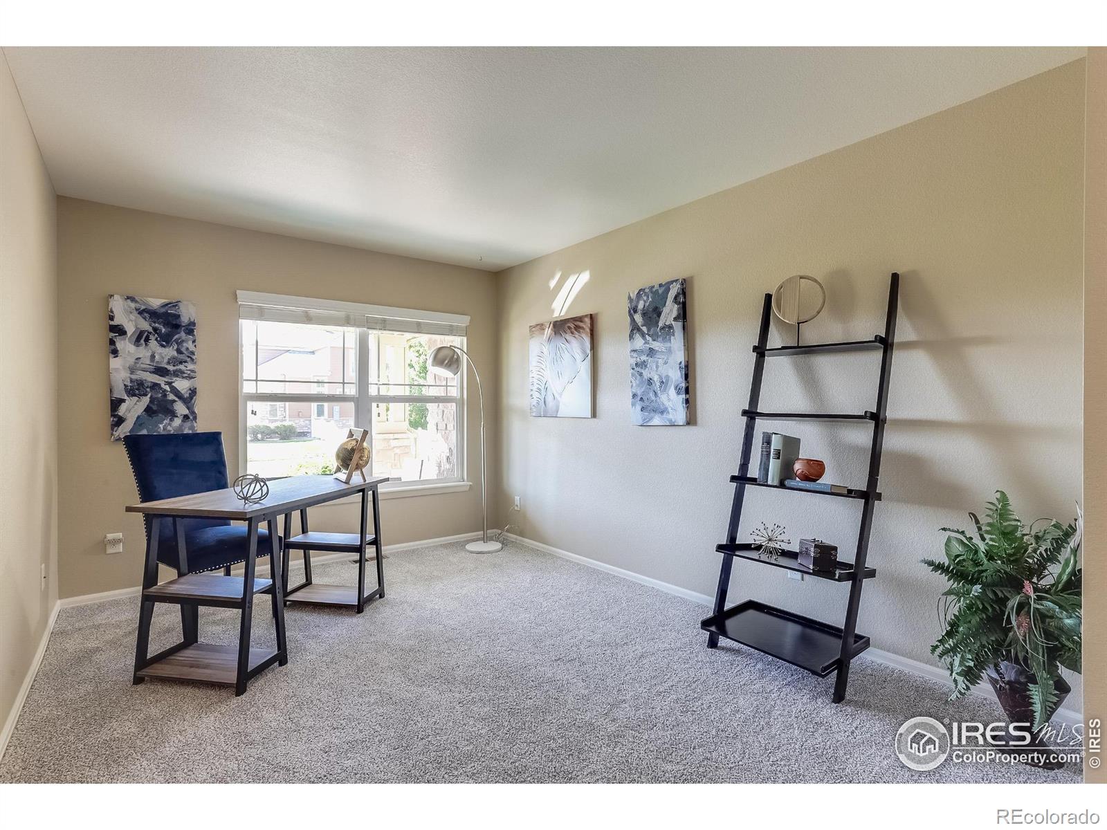 MLS Image #12 for 208  olympia avenue,longmont, Colorado