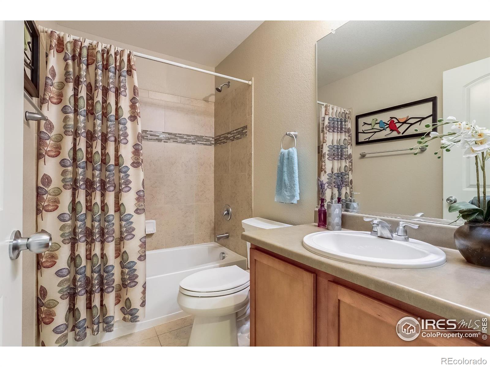 MLS Image #17 for 208  olympia avenue,longmont, Colorado