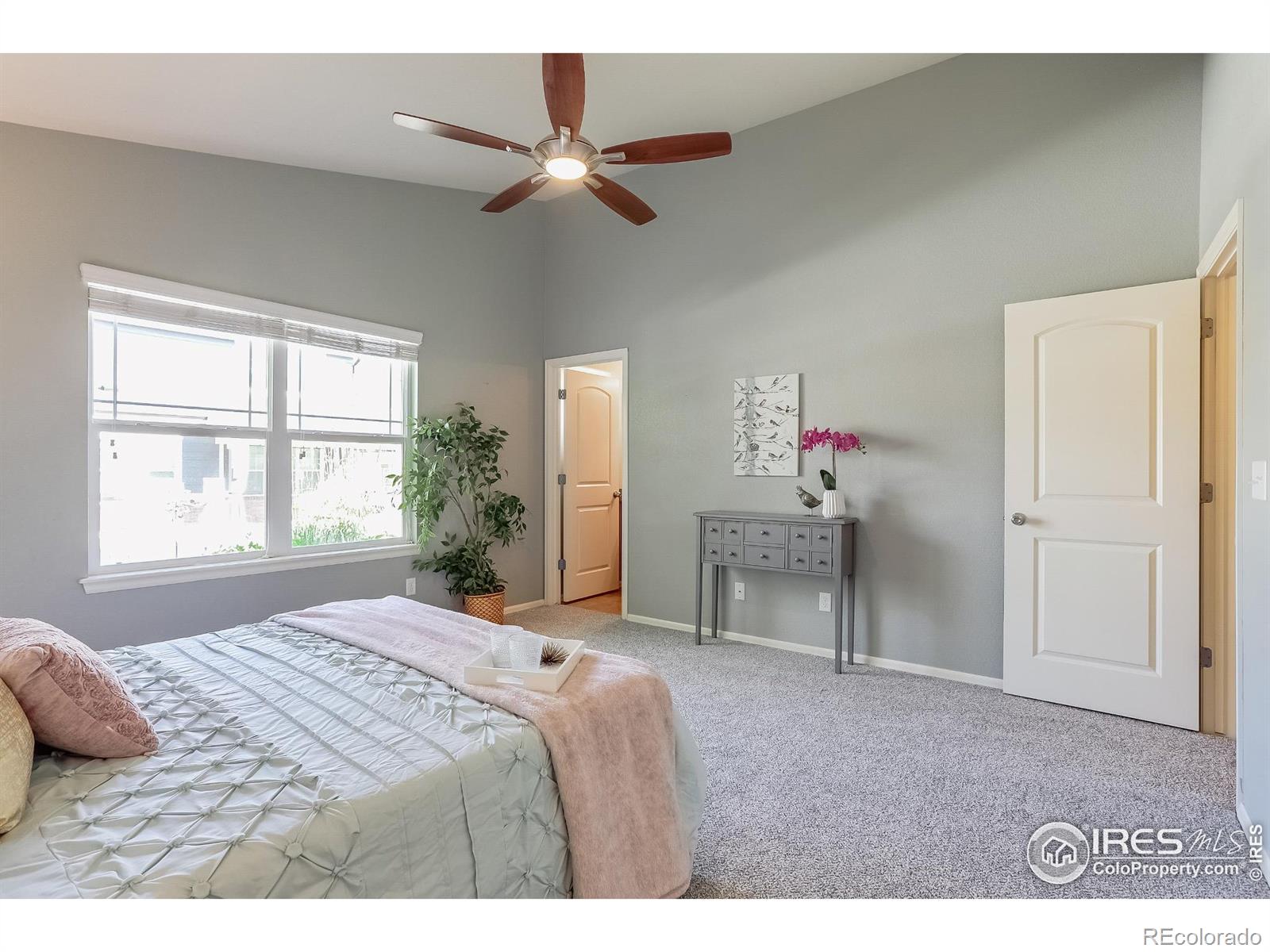 MLS Image #19 for 208  olympia avenue,longmont, Colorado