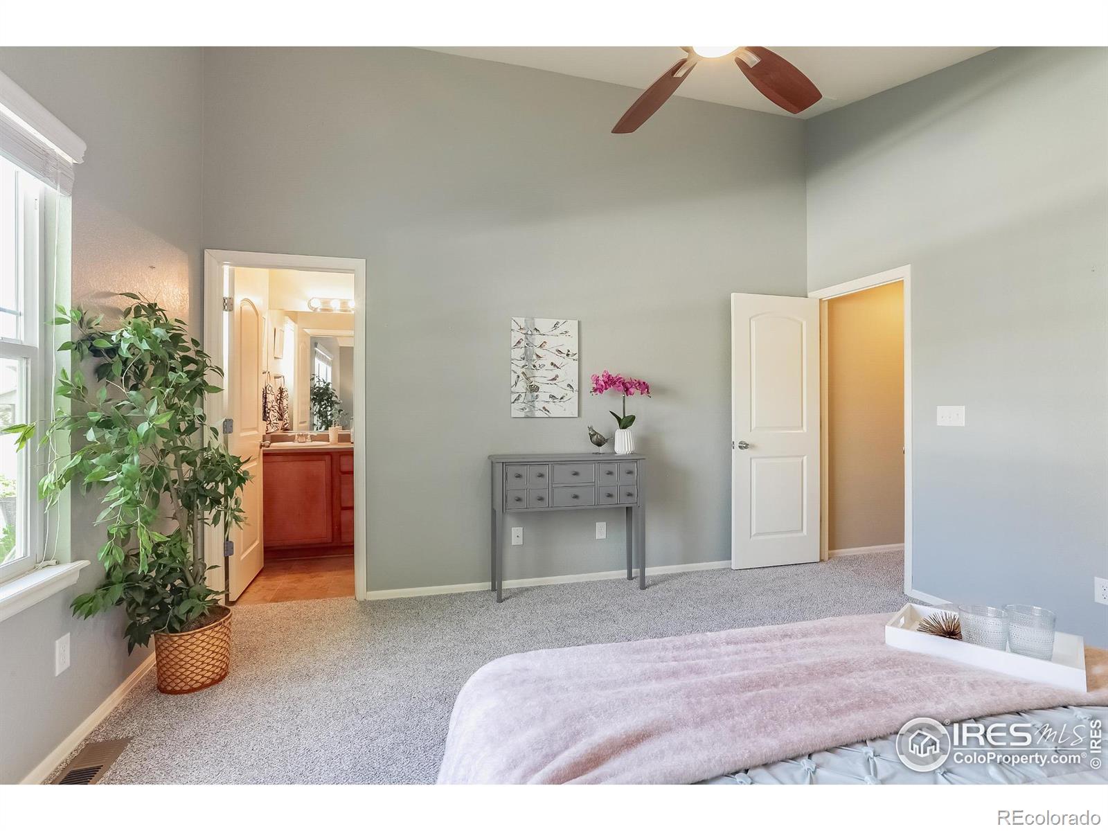 MLS Image #21 for 208  olympia avenue,longmont, Colorado