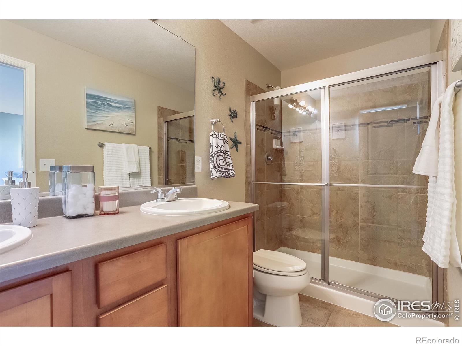 MLS Image #22 for 208  olympia avenue,longmont, Colorado