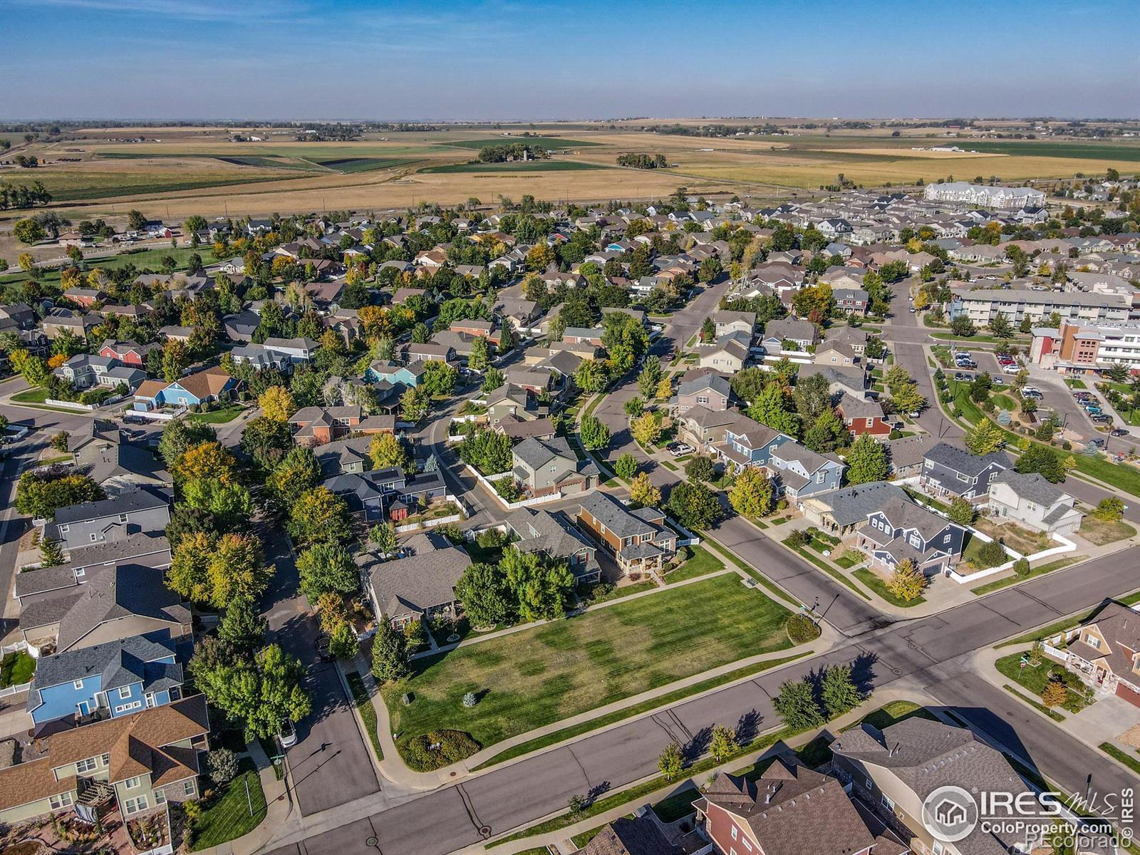 MLS Image #31 for 208  olympia avenue,longmont, Colorado