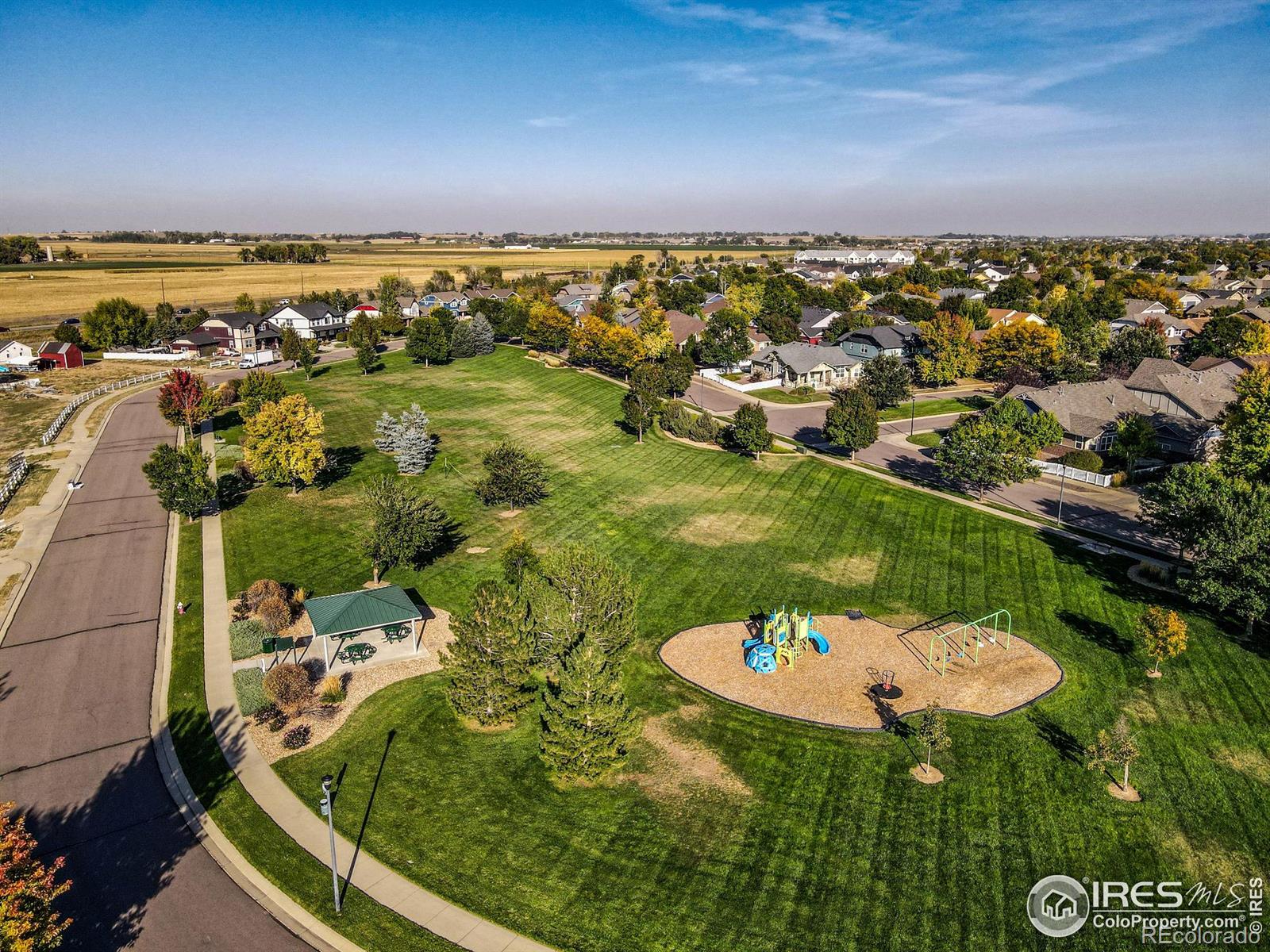 MLS Image #36 for 208  olympia avenue,longmont, Colorado