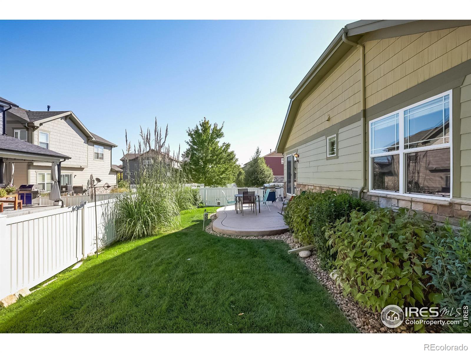 MLS Image #7 for 208  olympia avenue,longmont, Colorado