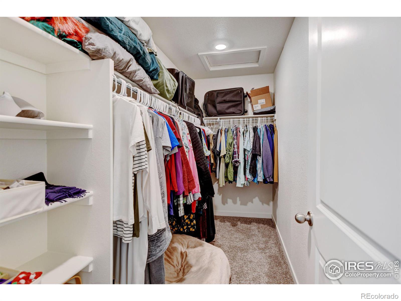 MLS Image #22 for 1231  lily mountain road,severance, Colorado