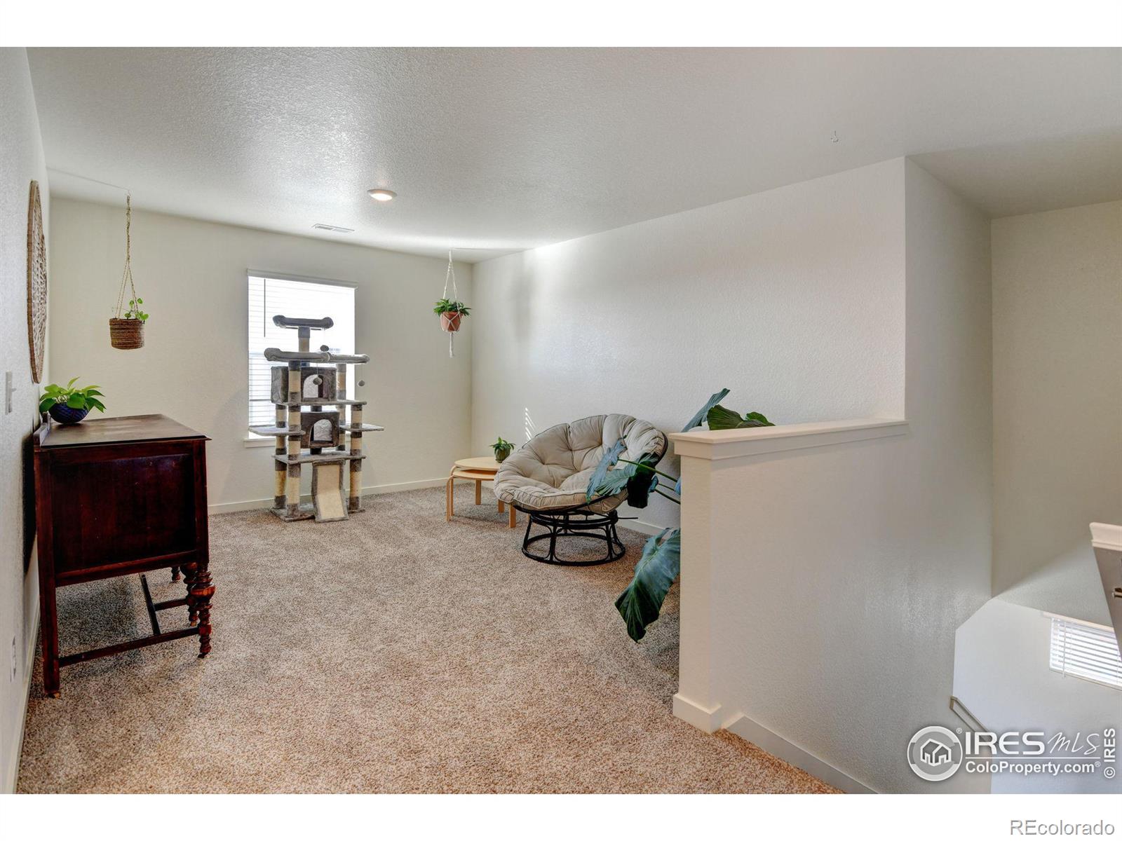 MLS Image #26 for 1231  lily mountain road,severance, Colorado