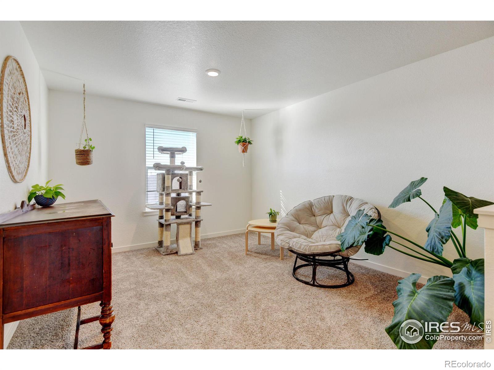 MLS Image #27 for 1231  lily mountain road,severance, Colorado