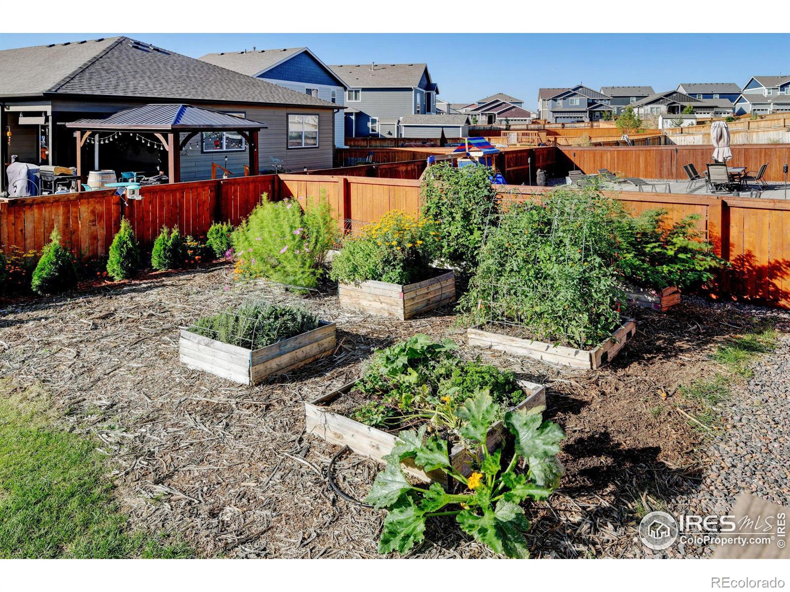 MLS Image #32 for 1231  lily mountain road,severance, Colorado