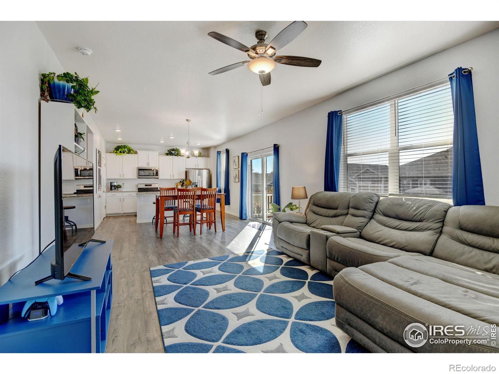 MLS Image #7 for 1231  lily mountain road,severance, Colorado