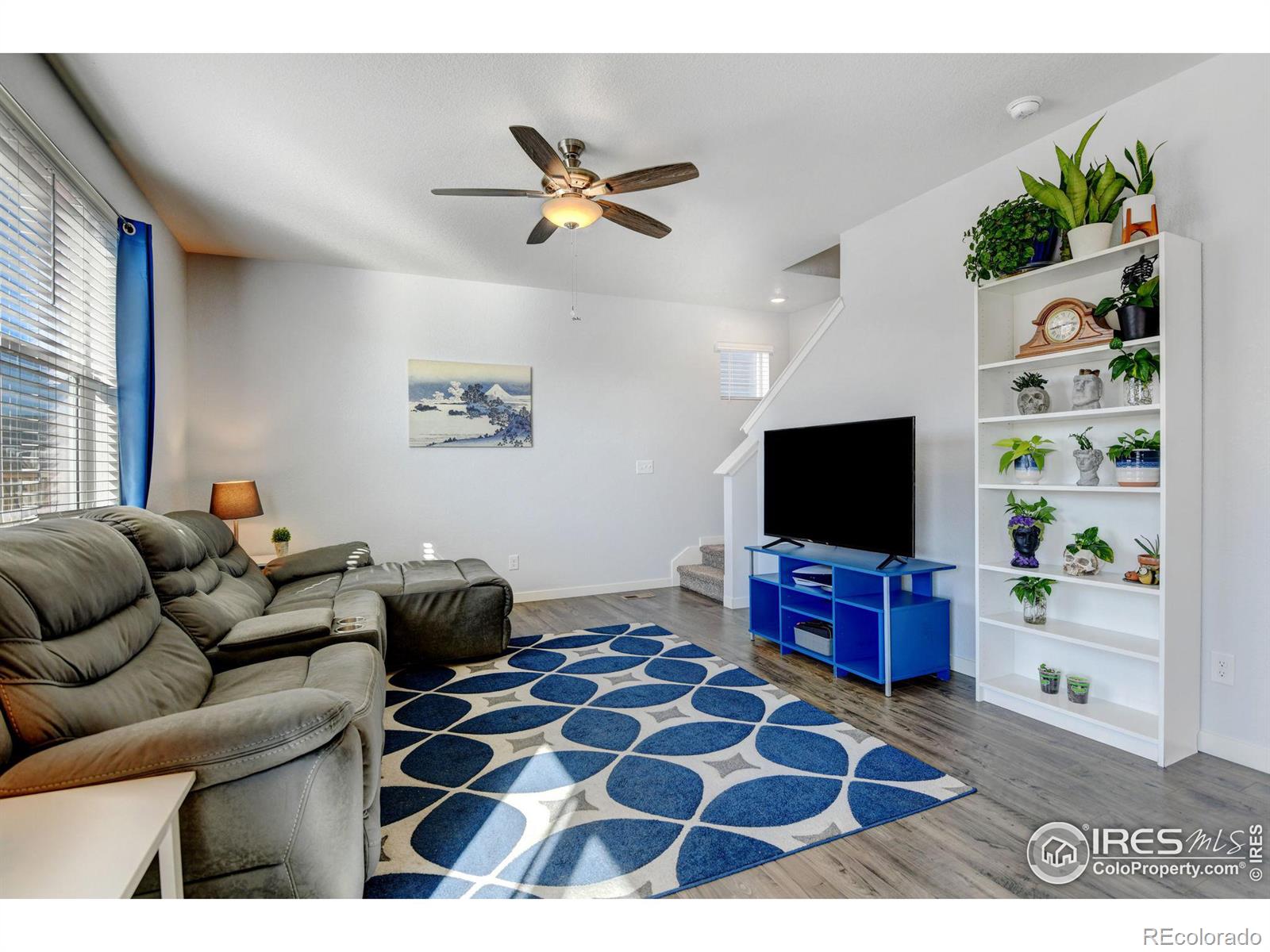 MLS Image #8 for 1231  lily mountain road,severance, Colorado