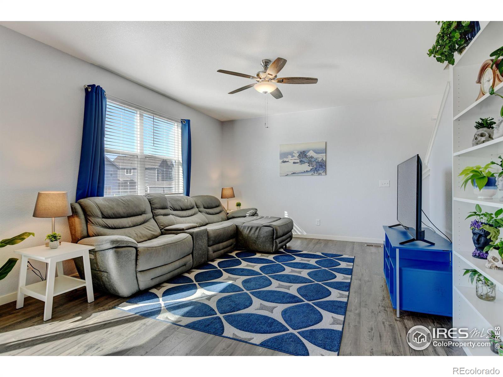 MLS Image #9 for 1231  lily mountain road,severance, Colorado