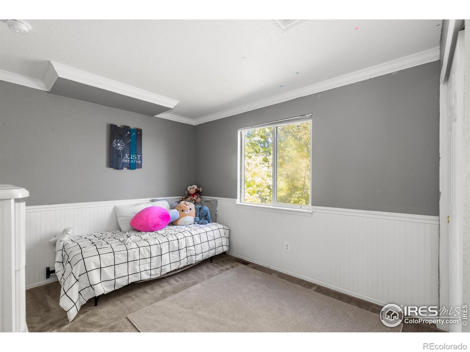 MLS Image #29 for 6287  gorham street,frederick, Colorado