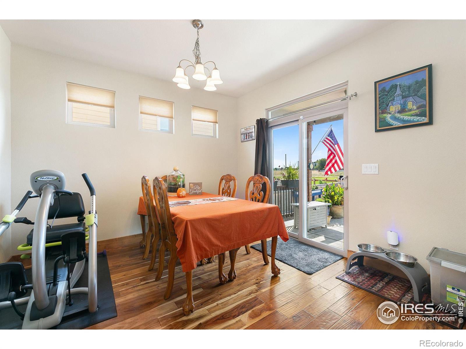 MLS Image #11 for 133  veronica drive,windsor, Colorado