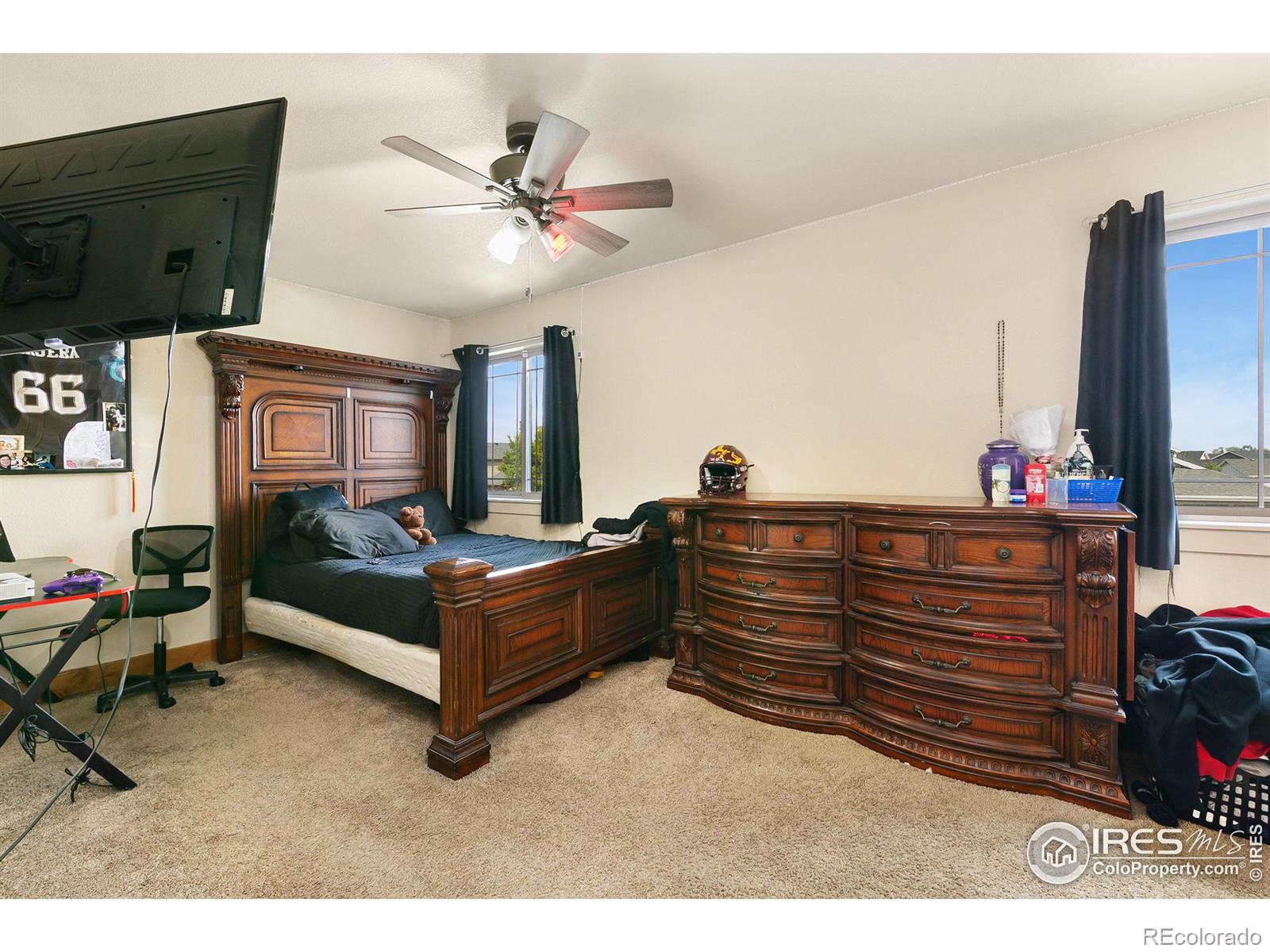 MLS Image #21 for 133  veronica drive,windsor, Colorado