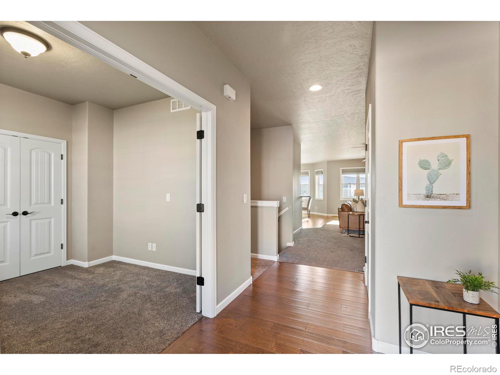 MLS Image #3 for 1548  sage drive,eaton, Colorado