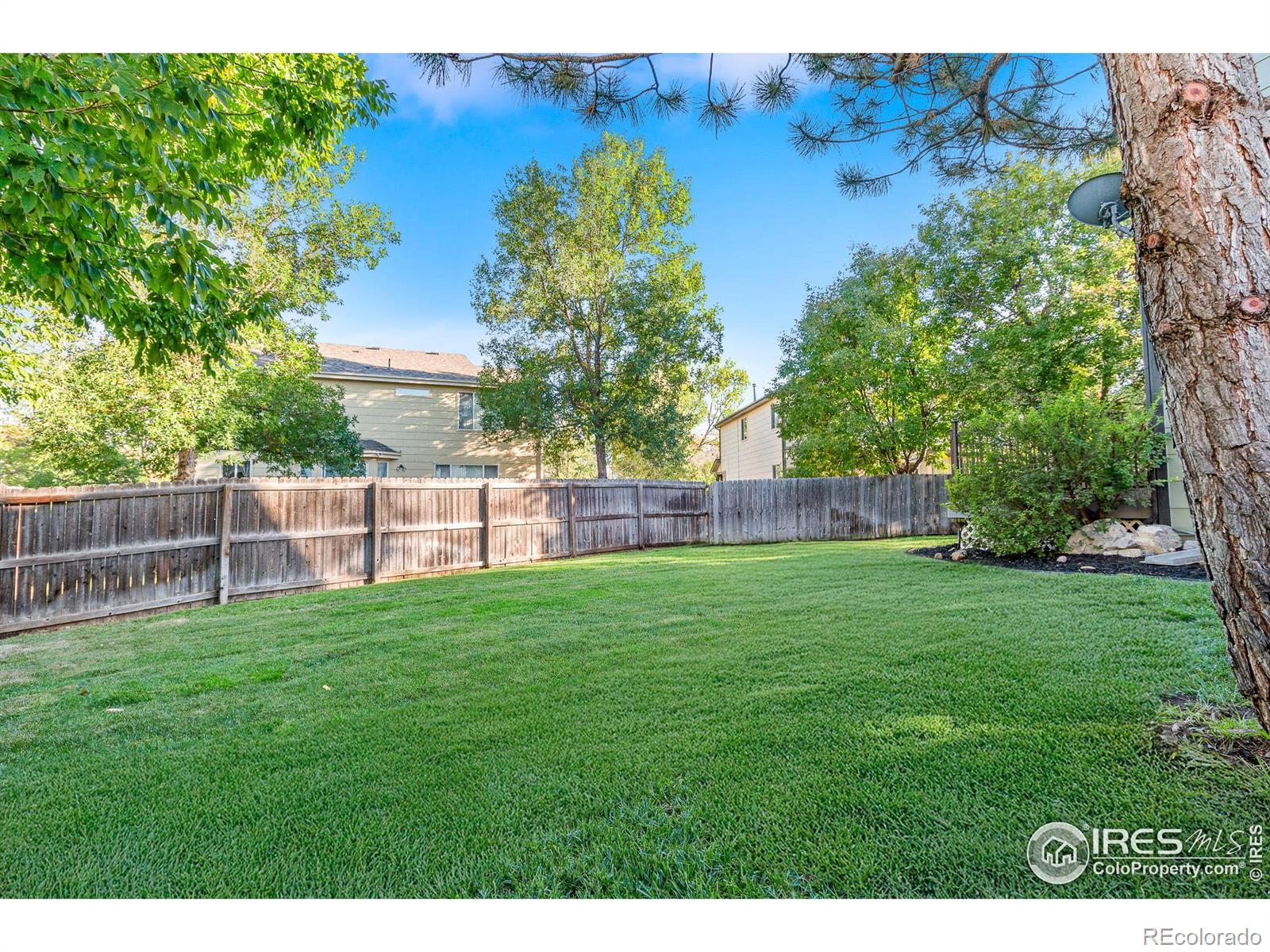 MLS Image #26 for 3114  michelle court,loveland, Colorado