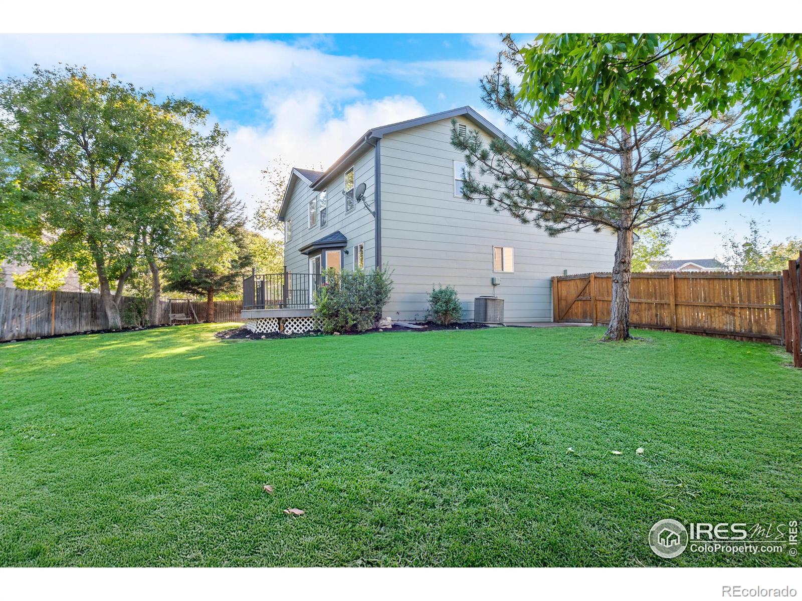 MLS Image #27 for 3114  michelle court,loveland, Colorado