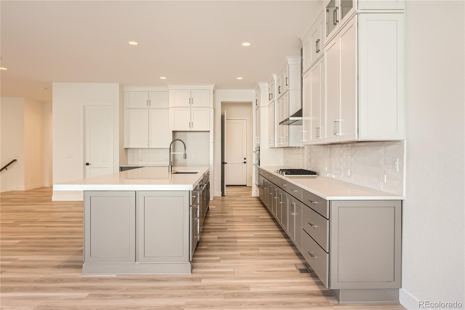 MLS Image #10 for 11442  autumn moon street,littleton, Colorado