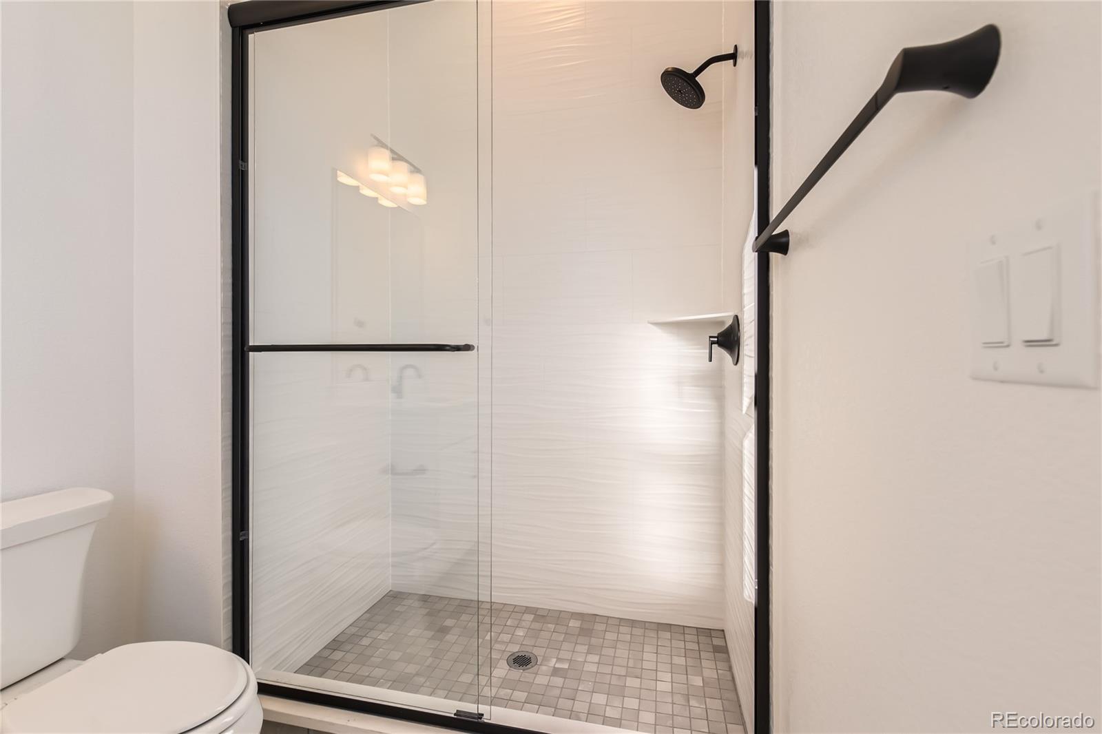 MLS Image #16 for 11442  autumn moon street,littleton, Colorado