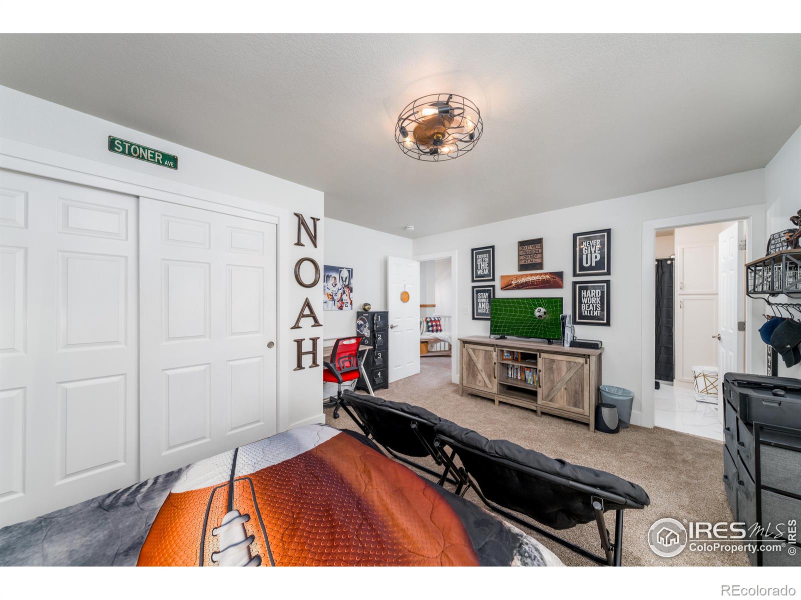 MLS Image #18 for 1143  hemlock drive,windsor, Colorado