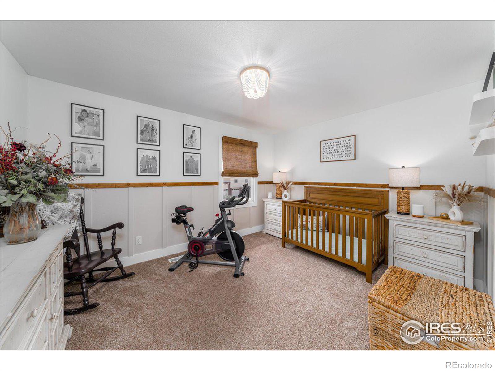 MLS Image #22 for 1143  hemlock drive,windsor, Colorado