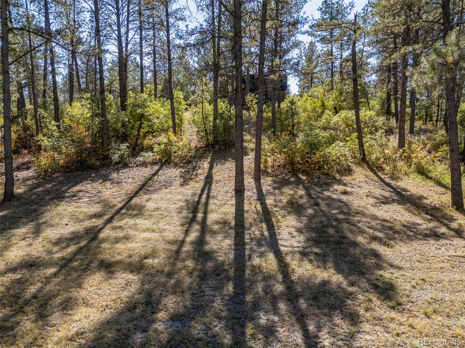 MLS Image #41 for 7682 e park drive,franktown, Colorado