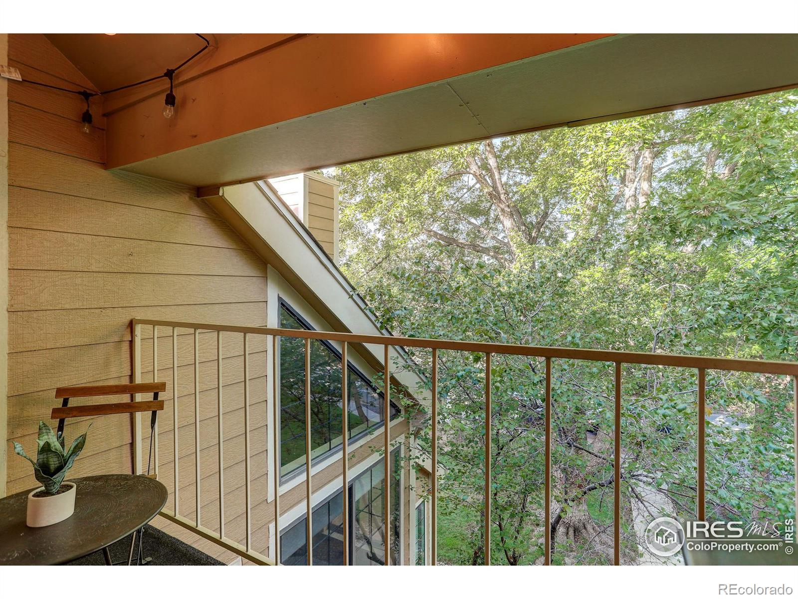 MLS Image #23 for 4721  spine road,boulder, Colorado