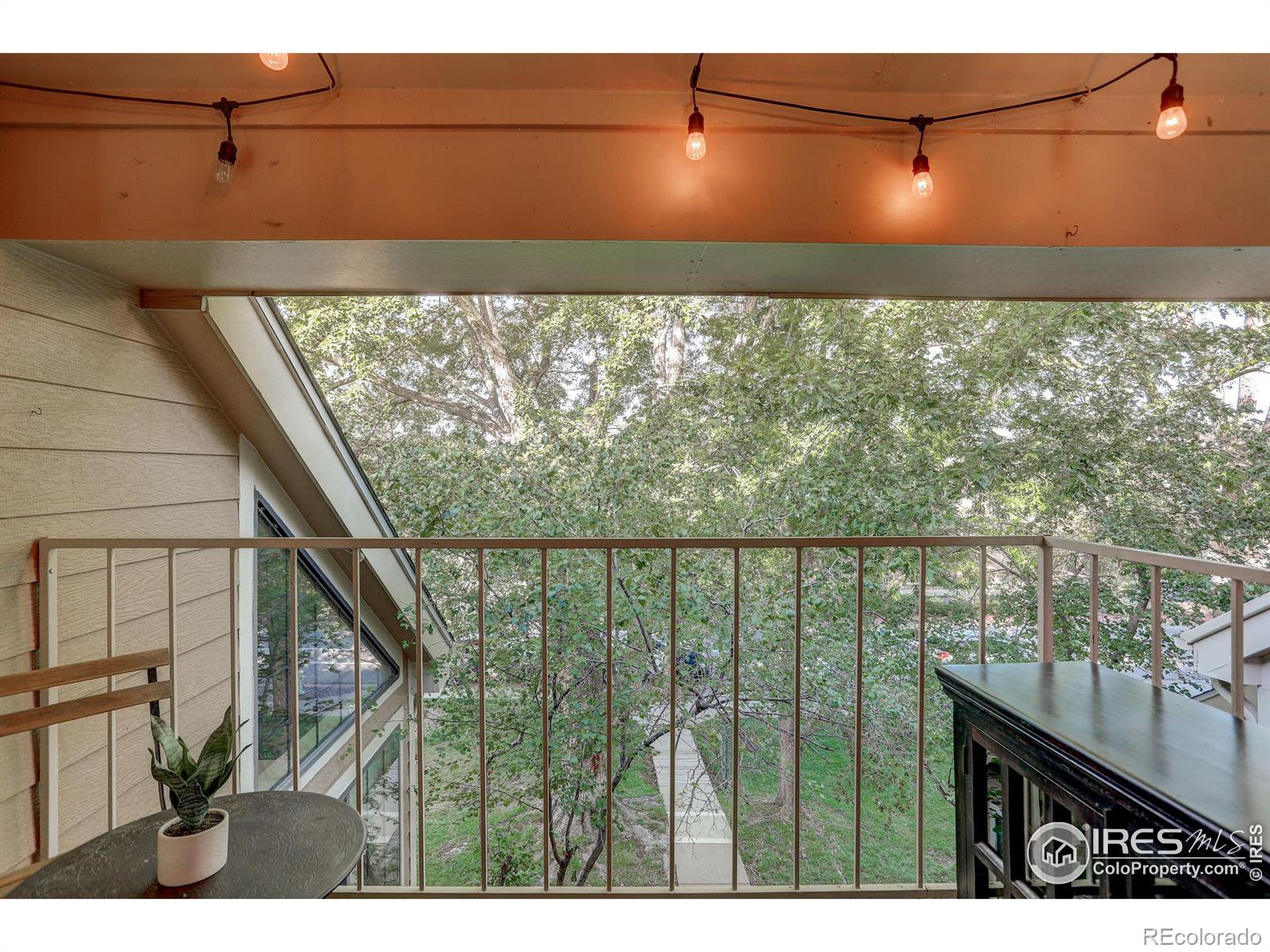 MLS Image #24 for 4721  spine road,boulder, Colorado