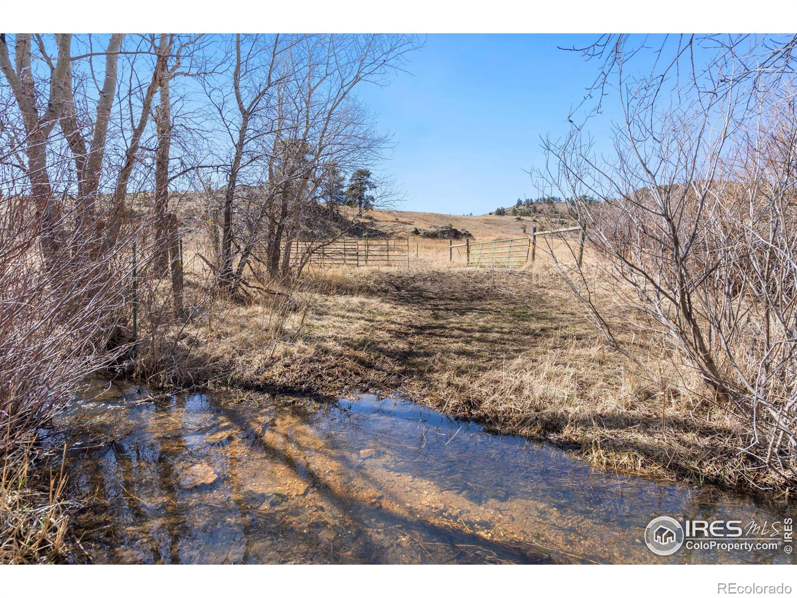 MLS Image #13 for 2935 w county road 82e ,livermore, Colorado