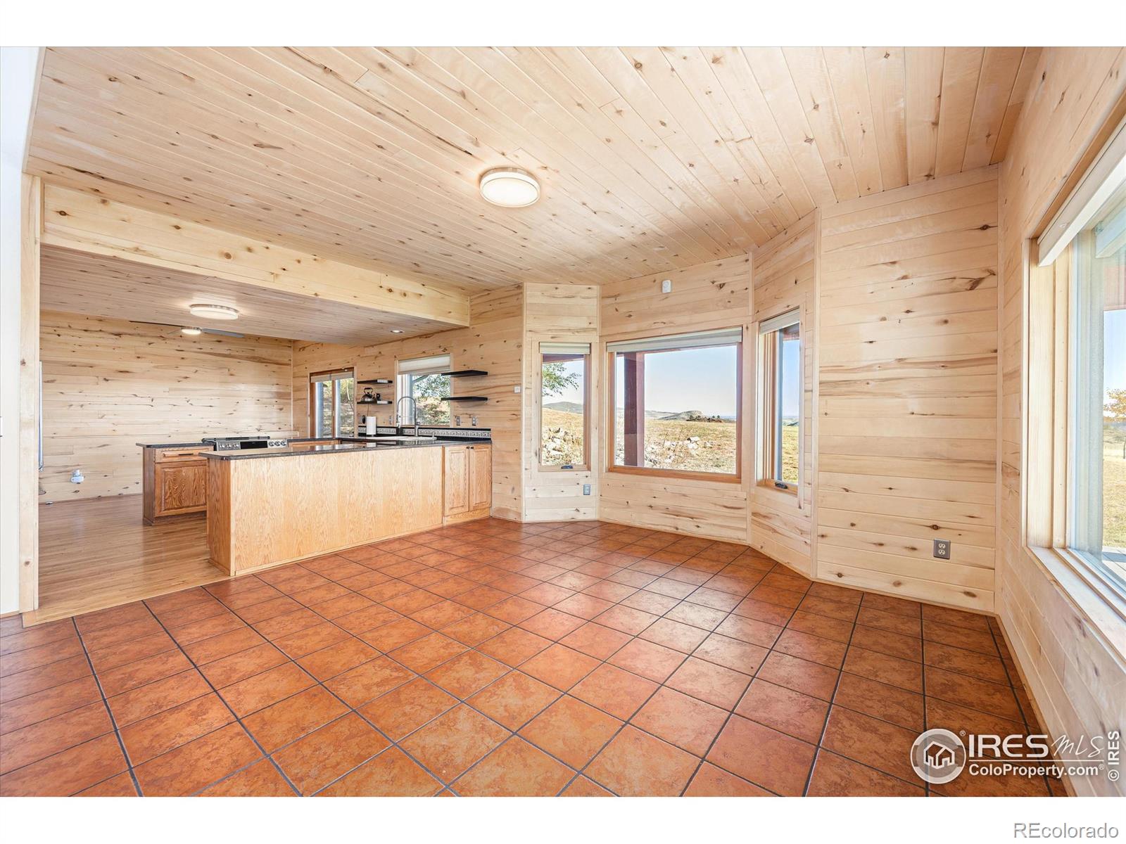 MLS Image #18 for 3070  suri trail,bellvue, Colorado