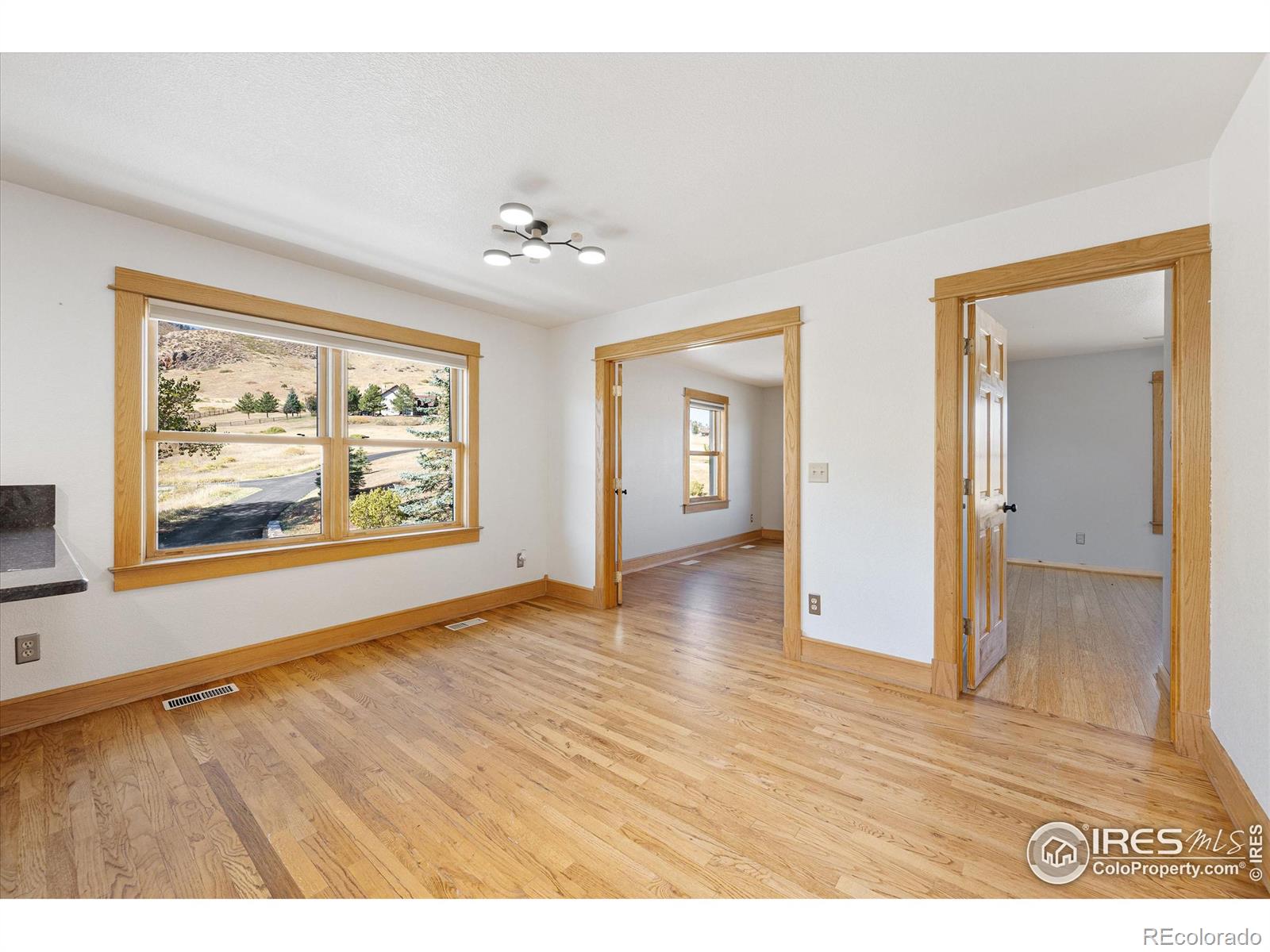 MLS Image #31 for 3070  suri trail,bellvue, Colorado