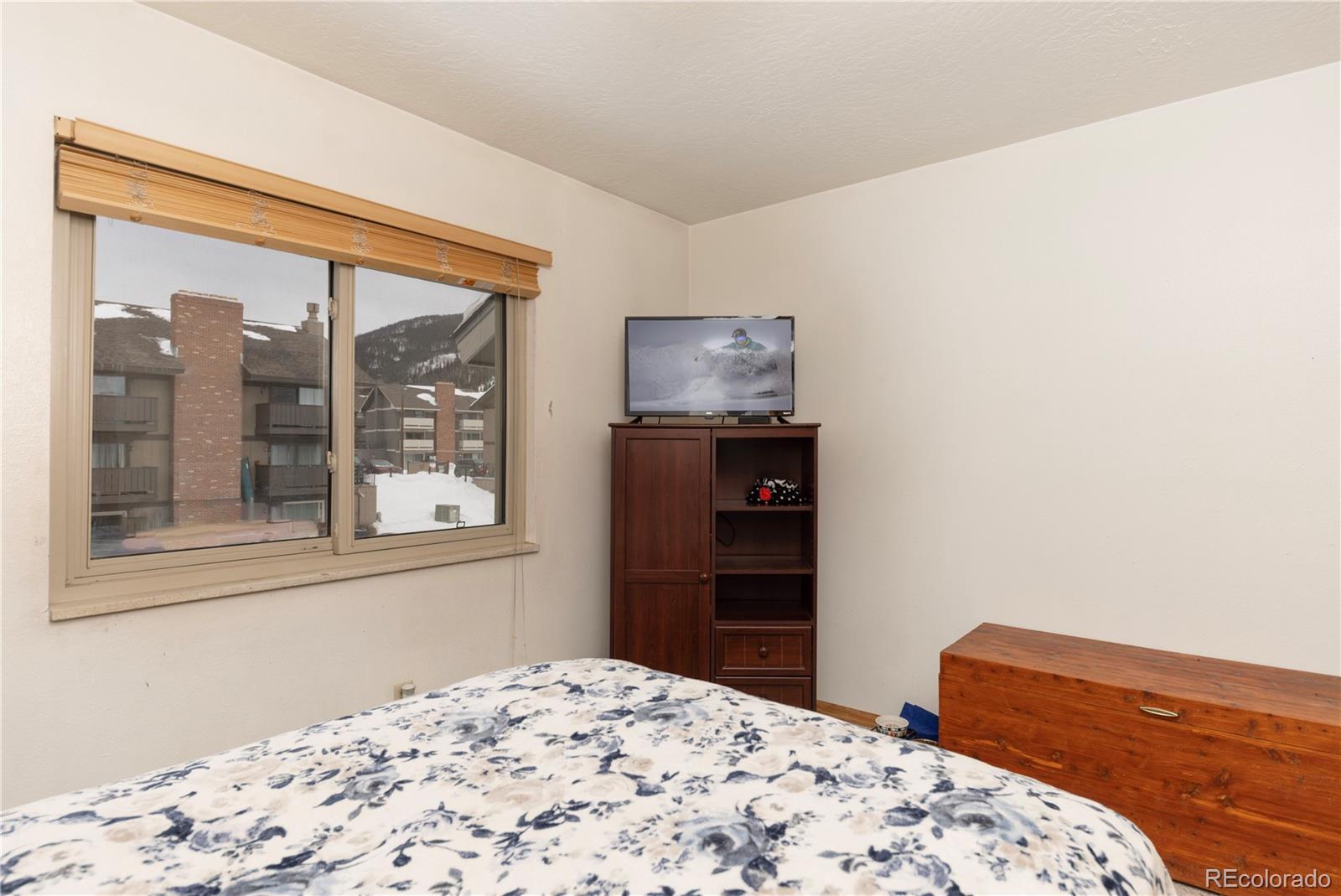 MLS Image #14 for 923  straight creek drive,dillon, Colorado