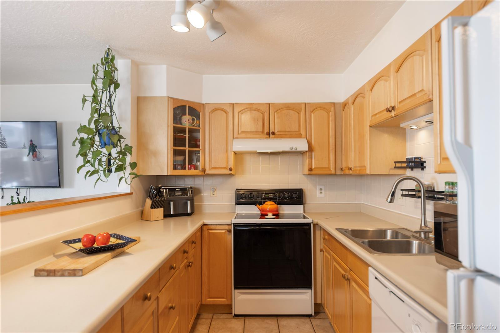 MLS Image #6 for 923  straight creek drive,dillon, Colorado