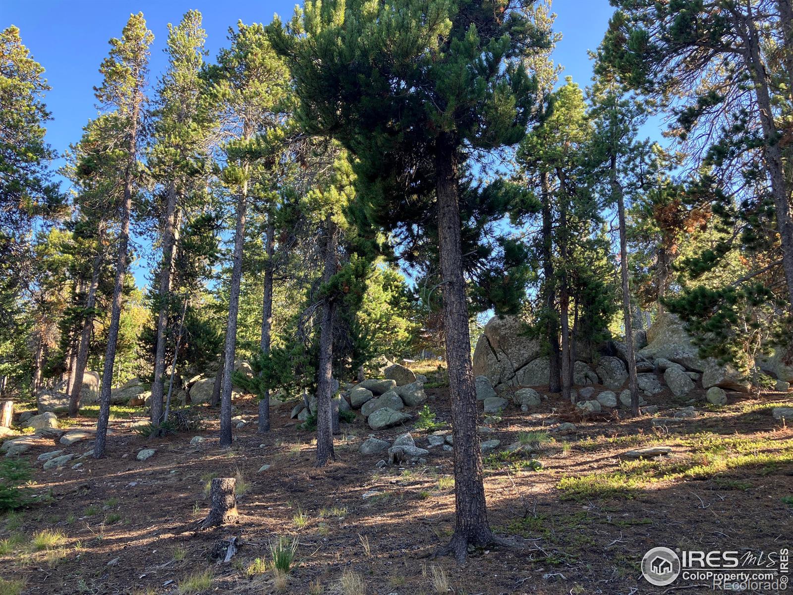 MLS Image #25 for 805  camp eden road,golden, Colorado