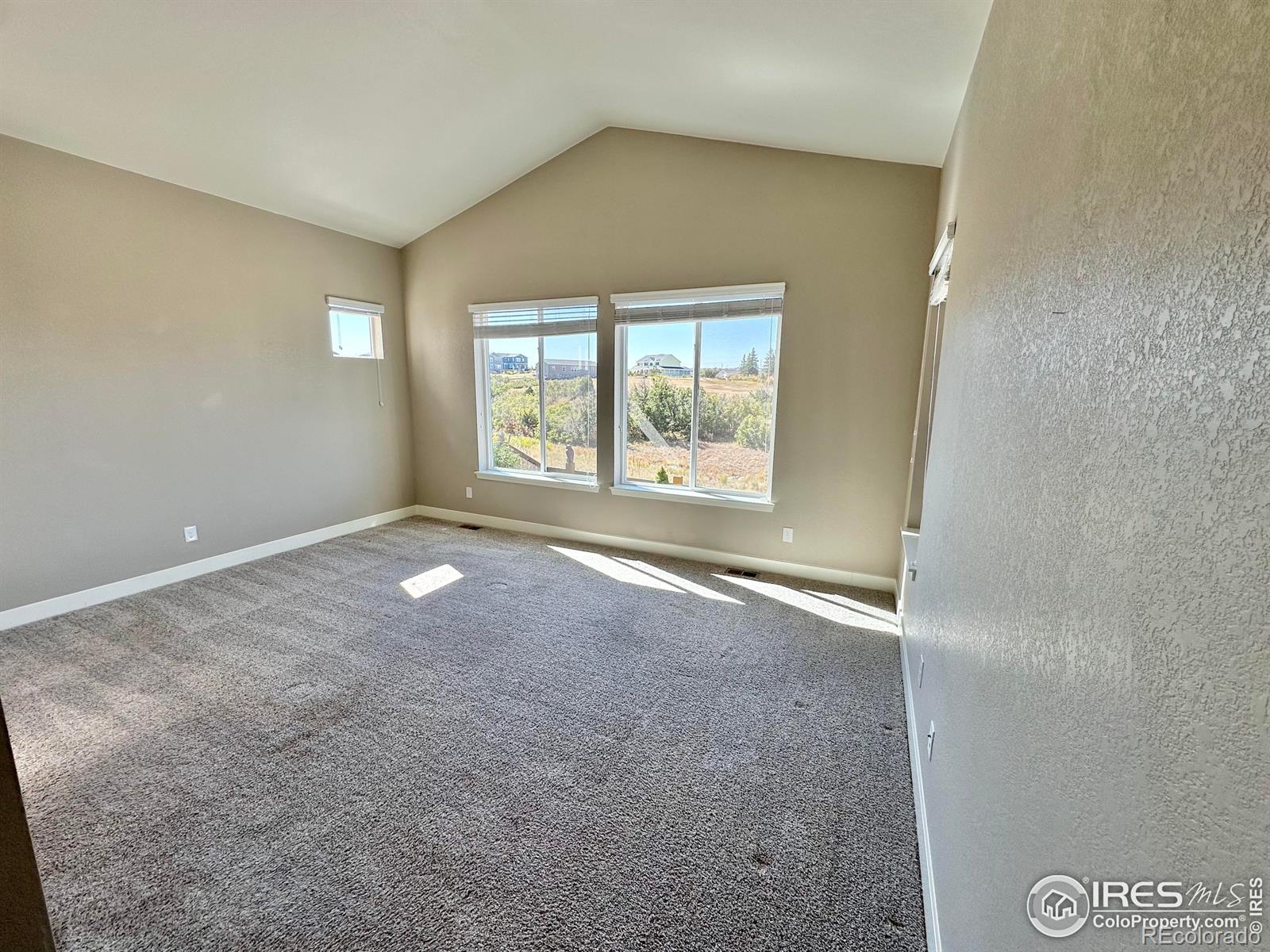 MLS Image #13 for 4824  coulee trail,castle rock, Colorado