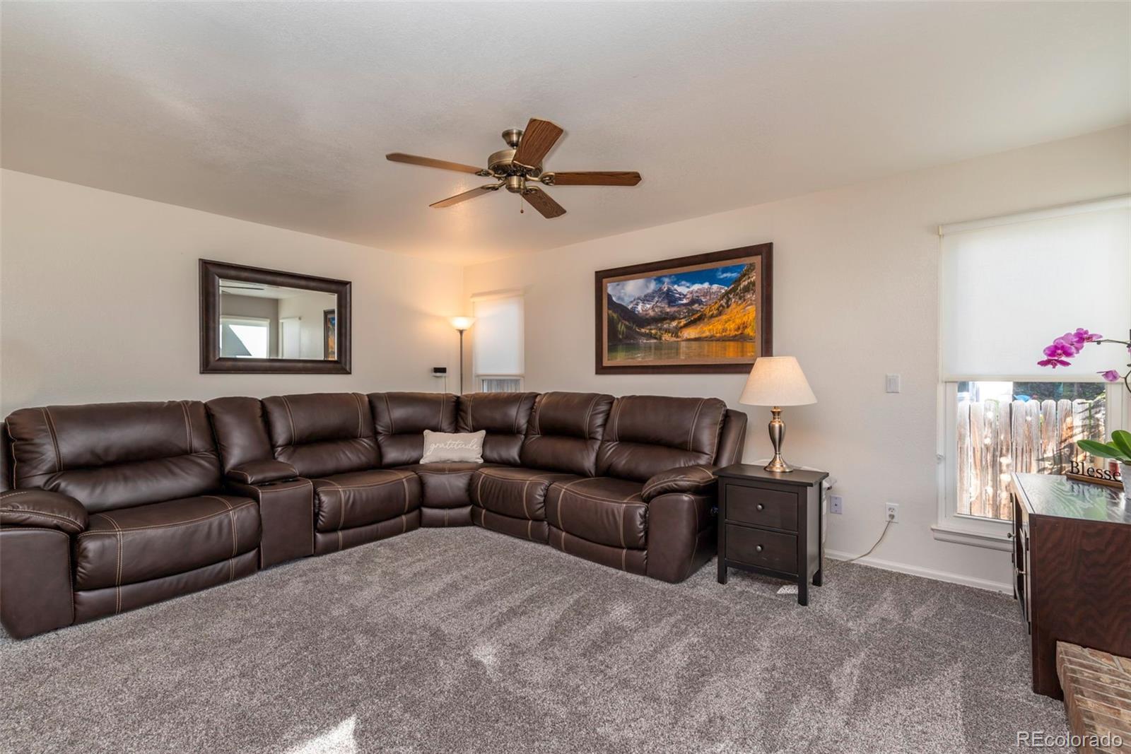 MLS Image #10 for 8449  urban court,arvada, Colorado