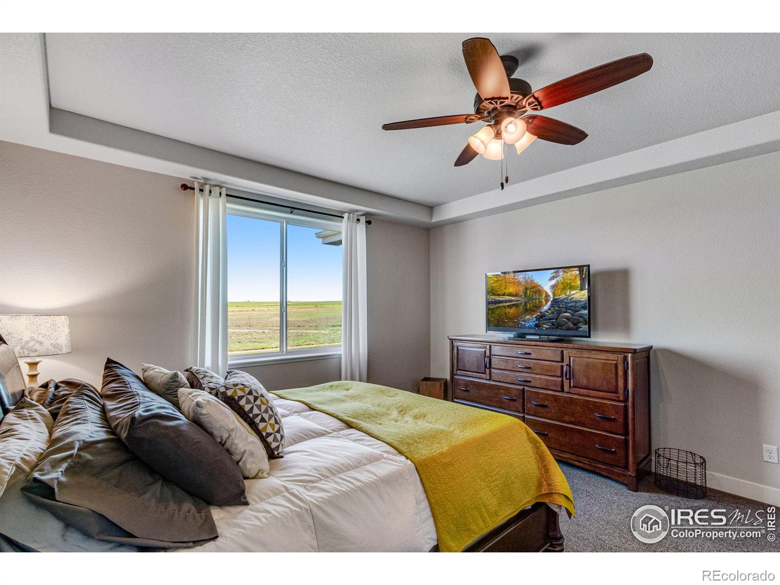 MLS Image #20 for 33566  county road 51 ,eaton, Colorado