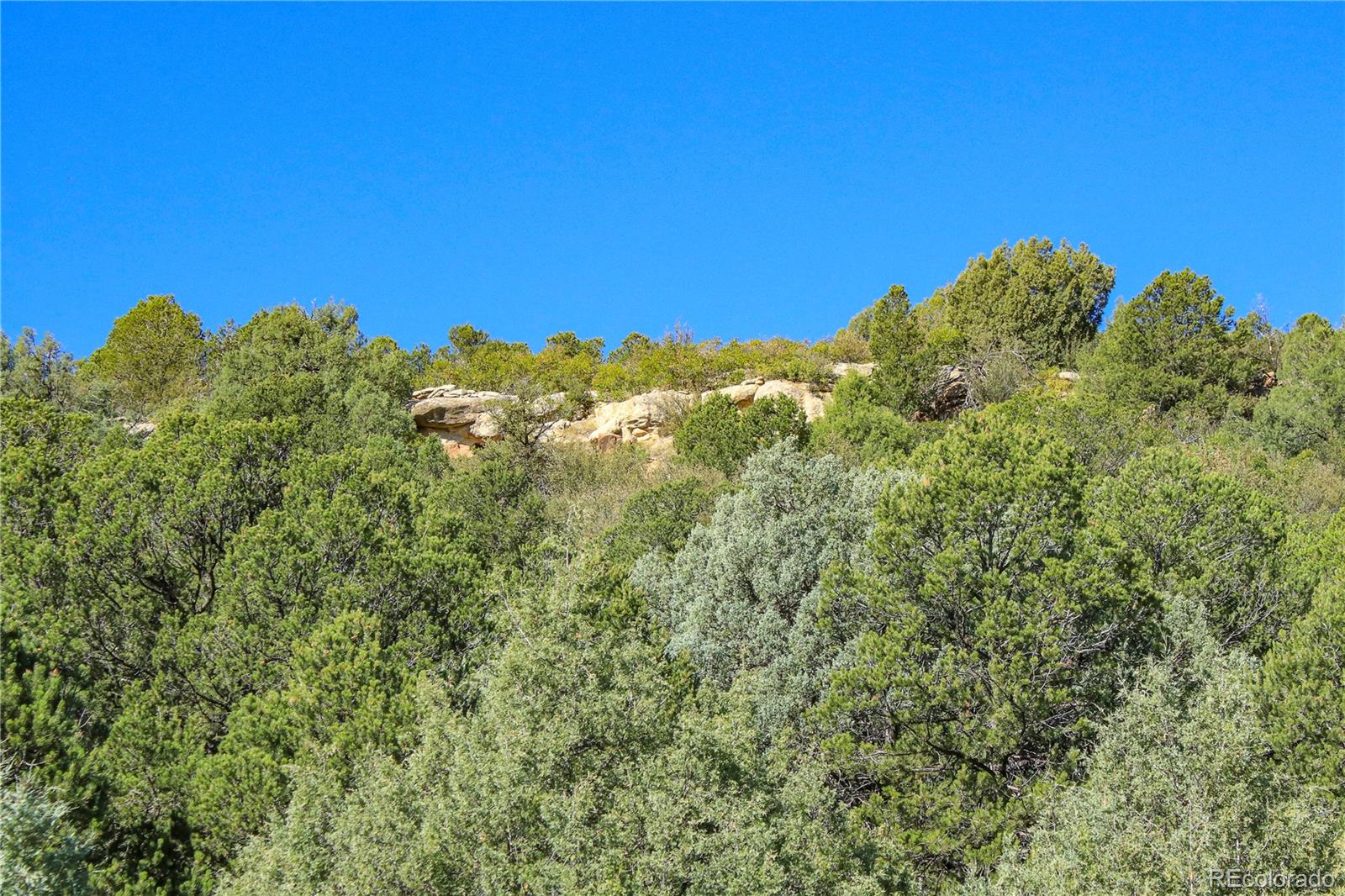 MLS Image #15 for 22300  stock canyon lane,trinidad, Colorado